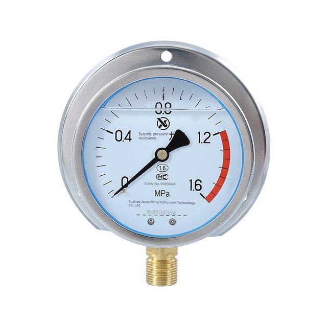 YN100T 1.6MPa radial belt back shock-resistant pressure gauge earthquake-resistant marine pressure gauge Suzhou Xuansheng
