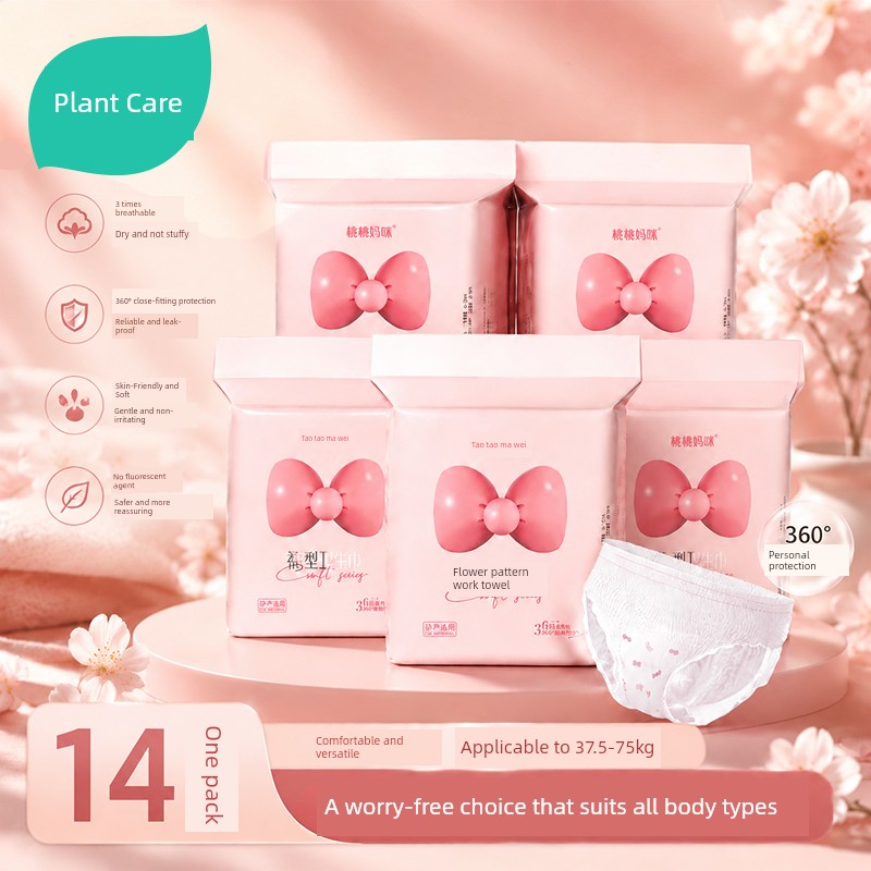 Large Pack of Women's Sleep Pants, Menstrual Protection Pants, Anti-Leakage Sanitary Napkins, Safe Night Pants, Maternity Pull-Up Pants — 3