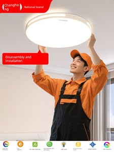 Bedroom Light Master Bedroom 2026 New Modern Minimalist Children's Room Led Ceiling Light Young People's Eye Protection 