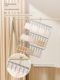 Stainless steel sock drying rack baby children underwear sock drying storage rack multiple clips windproof socks magic tool