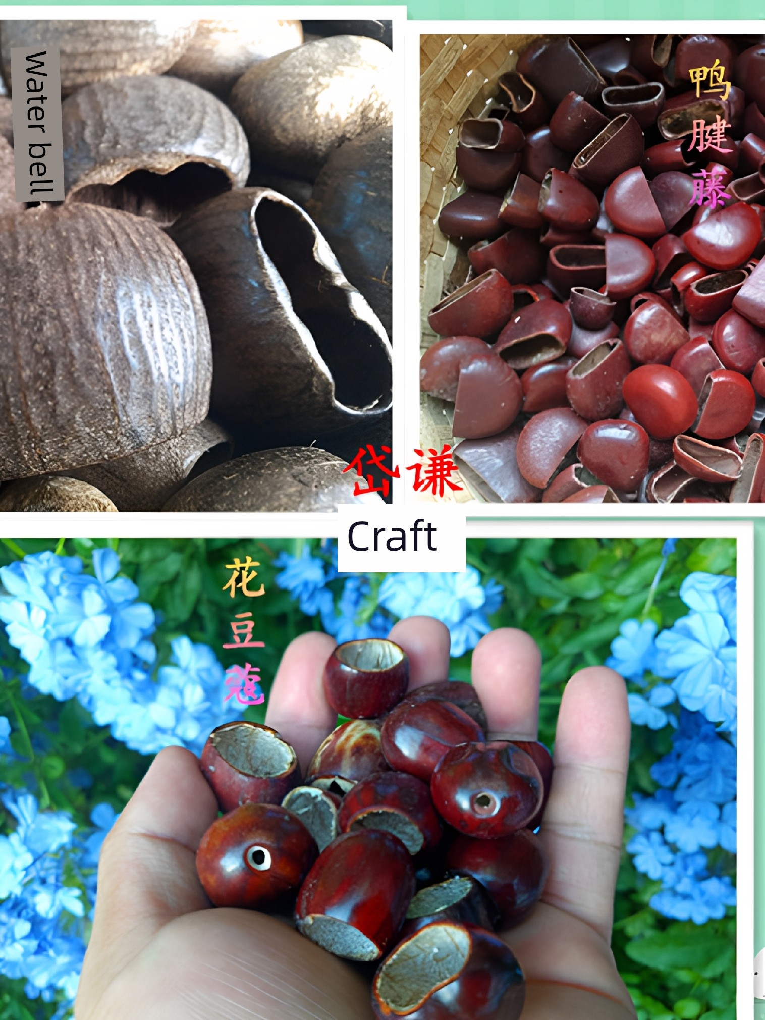 Natural Fruit Shell Water Bellwood, Duckbill Vine, Flower Cardamom, Main Materials for Hand-Rattled Wind Chimes, DIY Handmade Main Materials