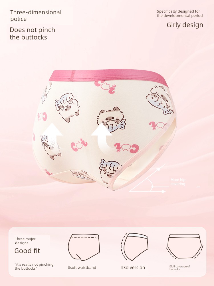 Girls' Underwear, Young Girls' Briefs, Children's Pure Cotton A-Class, for Developmental Period, Elementary School Students, 12-Year-Olds, Middle School — 4