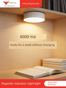 Desk Lamp for Studying, Special Eye-Protection Lamp for Children, Desktop Writing Lamp, No-Drill Installation, Full-Spec