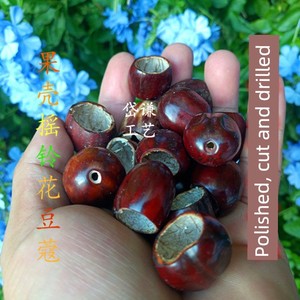 Natural Fruit Shell Materials: Flower Pods, Duckbill Pods, Fruit Shell Hand Rattles, Decorative Hanging Ornaments, Wind 