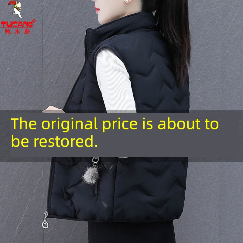 Woodpecker Frivolous Autumn and winter have cash less than that is registered in the accounts Down cotton Vest