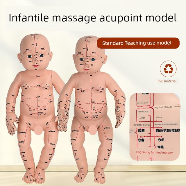 Baby mannequin model children doll mannequin model acupuncture and moxibustion traditional Chinese medicine acupoint pediatric massage simulation model