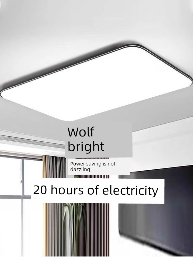 Modern Elegant Led Master Bedroom Ceiling Light
