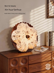 Aoduo Second-Hand Master Bedroom Ceiling Lamp 2026 New Model French Retro Style High-End Eye-Protection Walnut Color Lig