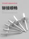 Big hat rivet aluminum round head large hat brim pull rivet core rivet large head pull large flat head car pull rivet