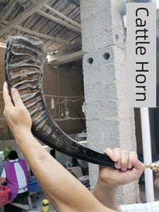 Natural Buffalo Horn LaCorne Handmade Large Trumpet Performance Props Ethnic Decorative Taoist Horn Dharma-Vessel