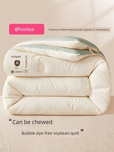 Grace Thickened Heattech Winter Dormitory Synthetic Quilt