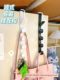 Long row of hooks behind the door bags and racks ins dormitory storage clothes hanger wall hanging rack hat storage tool
