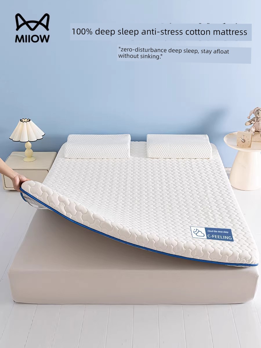 Latex Mattress Cover Soft Cushion for Home Bedroom Student Dormitory Single Bed Rental Special Sponge Mattress Pad