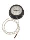 Low temperature minus 40 degrees plastic shell capillary meter Y100 genuine guarantee meter thermometer thermometer pressure type