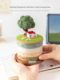 A Ying Micro Landscape Creative Unzipping Calendar Perpetual Calendar Ornament Storage Healing Workstation Decoration Teacher Gift Female