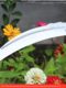 Sickle farm tools for mowing grass and mowing rice farm tools for household weeding wheat corn tools for gardening and gardening farm tools