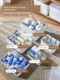 Debris storage basket cosmetic storage box student dormitory desktop plastic storage box with lid kitchen finishing box
