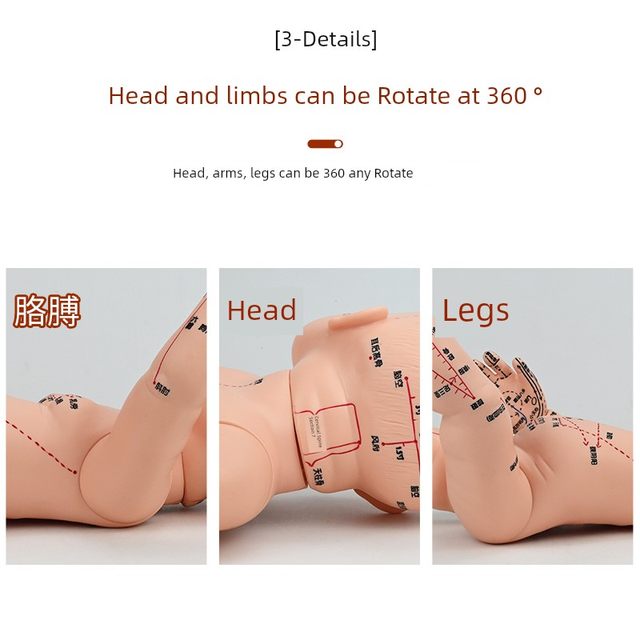 Acupuncture Doll Model Children's Doll Mannequin Model Acupuncture Traditional Chinese Medicine General Acupuncture Pediatric Massage Simulation Model