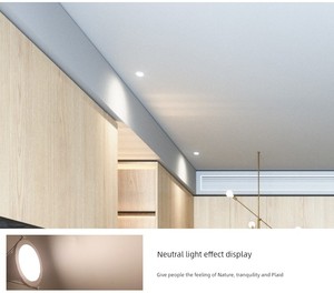 Led 18W Living Room 2.5-Inch Panel White Downlight