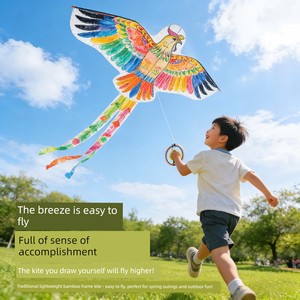 Kite DIY Material Kit for Elementary School Students, Butterfly Semi-Finished Coloring Kit, Children's Handmade Paper Ki