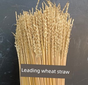 Wheat Straw with Headpieces, Prayer Wheat Straw, Small Wheat Straw, Wheat Straw Art, Wheat Straw Straws, Burning Incense