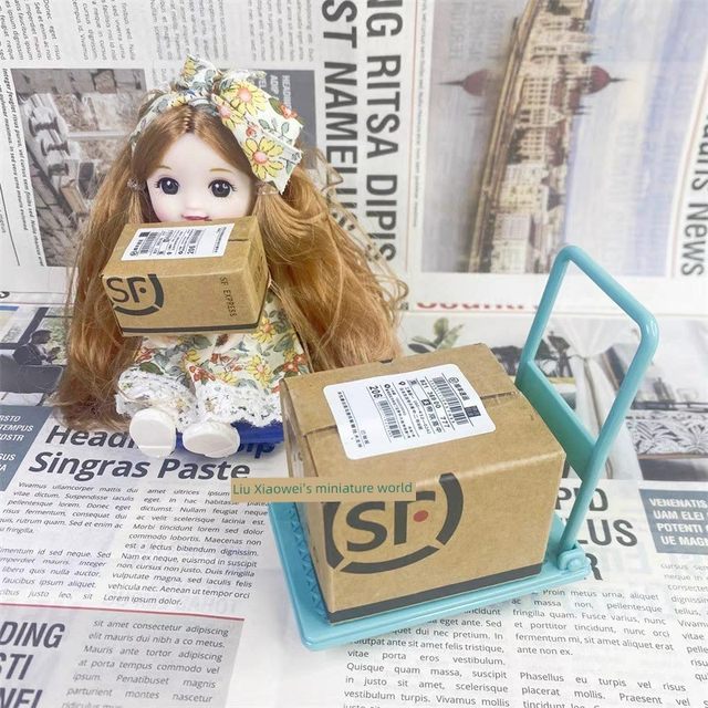 Mini express carton, simulated supermarket food play, children's house play toys and doll house accessories shooting model