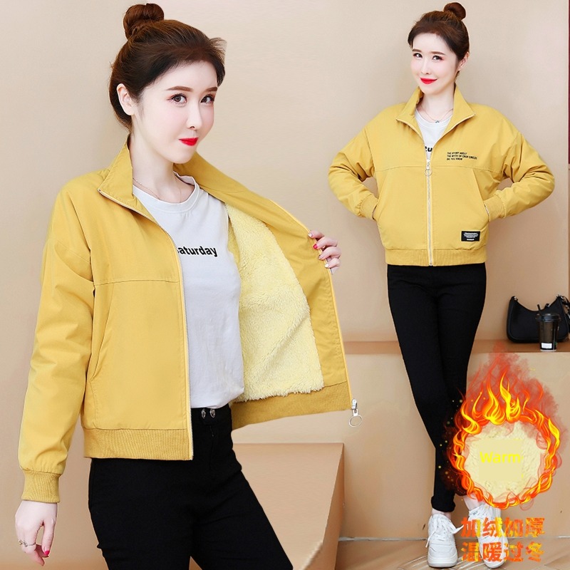 Small cotton padded jacket Plush Jacket short coat Versatile lamb
