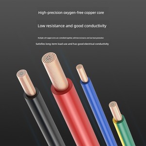 National Standard Rv Multi-Strand Copper Wire Flexible Wire Terminal Electrical Wire 0.3 0.75 2.5 4 Square Millimeter El