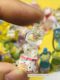 Mini food, mini snacks, potato chips, drink bottle model, Xiaohongshu same style, children's house play toys