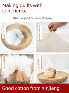Cushion Thickened Heattech Xinjiang Quilt