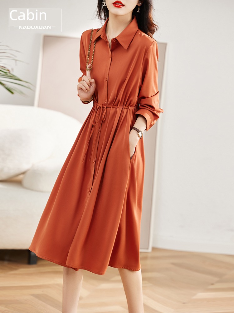 Autumn and winter Women's wear Long sleeve Chiffon temperament Dress