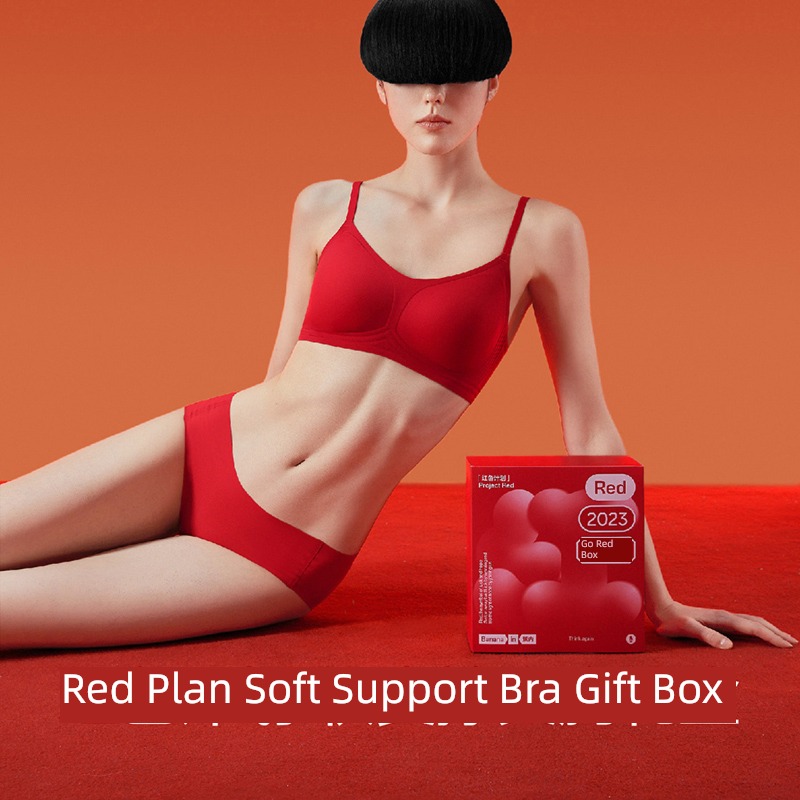 Jiaonei 501S soft brace Small chest Gather together marry Underwear