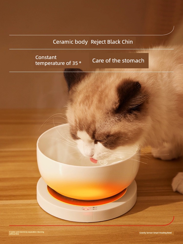 貓咪恆溫飲水機冬季寵物餵食喂水酸奶機貓狗冬天喝水陶瓷加熱水碗 (8.3折)