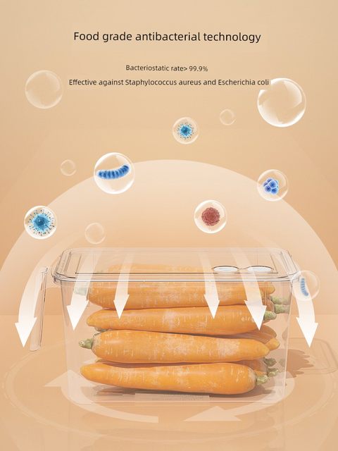 Refrigerator storage box Food grade antibacterial freshness box Kitchen vegetables and fruits food storage box Egg sorting tool