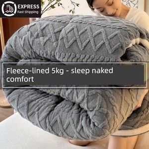 Milk Lamb Wool Blanket, Thickened and Warm, Winter Quilt, Nap Blanket, Sofa Cover Blanket, Quilt Core, Cotton Quilt, Win