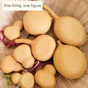 One Thing, One Picture, Flat Small Fruit Bottle Gourd, Apple Flat Crafts Gourd, Frying Pan Concave Flat Boutique Gourd