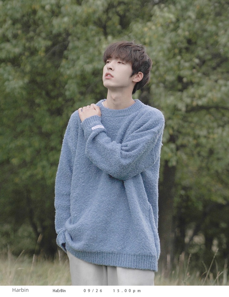 E022 Autumn and winter New products leisure time student man sweater