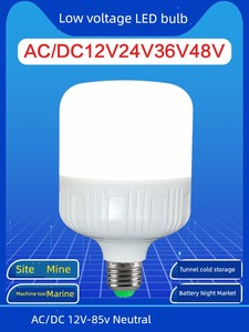V Low Voltage DC Screw Energy-Saving Construction Site LED Bulb