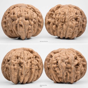 Collectible Walnut, Sizhuolou Walnut, One Item One Picture, A78242, Fully Unmodified, Lion Head, Low Base, Pointed Tip,