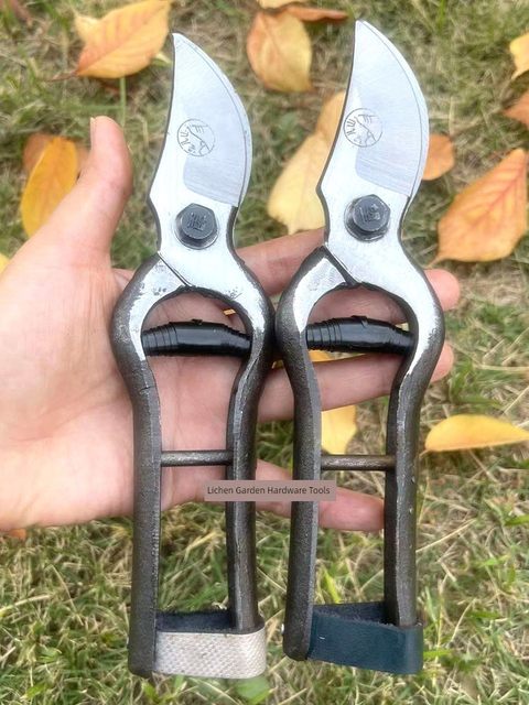 Wanger Mountain pruning and shearing fruit tree scissors gardening and shearing imported labor-saving scissors special for cutting branches