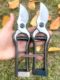 Wanger Mountain pruning and shearing fruit tree scissors gardening and shearing imported labor-saving scissors special for cutting branches