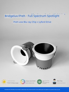 Full Spectrum Karshan Wall Washing Deep Cup Prie Drive Spotlight