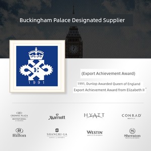 Dunlopillo Import Hyaluronic Acid Side Sleeping Pillow