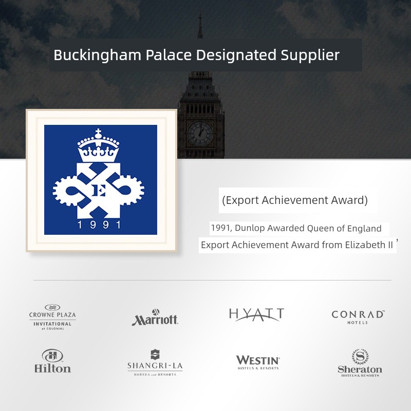 Dunlopillo Import Hyaluronic Acid Side Sleeping Pillow