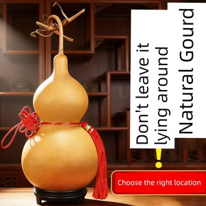 Real Natural Dried Gourd Large Pendant with Open Mouth, Facing Each Other, with Five Emperors' Coins, Pure Living Room E