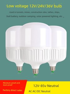 24v36v V LED Bulb 12v48v Low Voltage Bulb E27 Screw AC/DC Construction Site Mine Battery Energy Saving Lamp