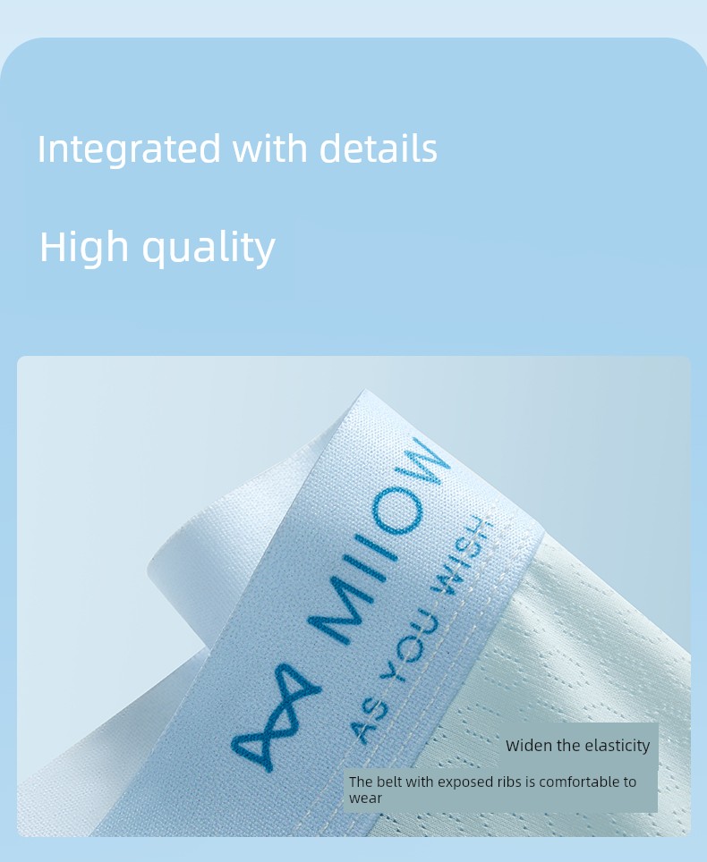 Catman Youth Underwear Children's A-Class Ice Silk Summer Thin Boxer Briefs for Boys in Middle and High School, Long-Term Use Four-Corner Style — 25