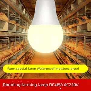 Breeding Special Lighting Bulb Dc48v V Dimmable 220V Chicken Farm Waterproof Poultry Lamp Low Voltage Led DC