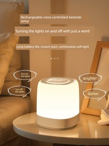 Intelligent Voice Control Small Night Lamp Rechargeable Voice Control Sensor Bedroom Bedside Sleep Baby Feeding Timing T