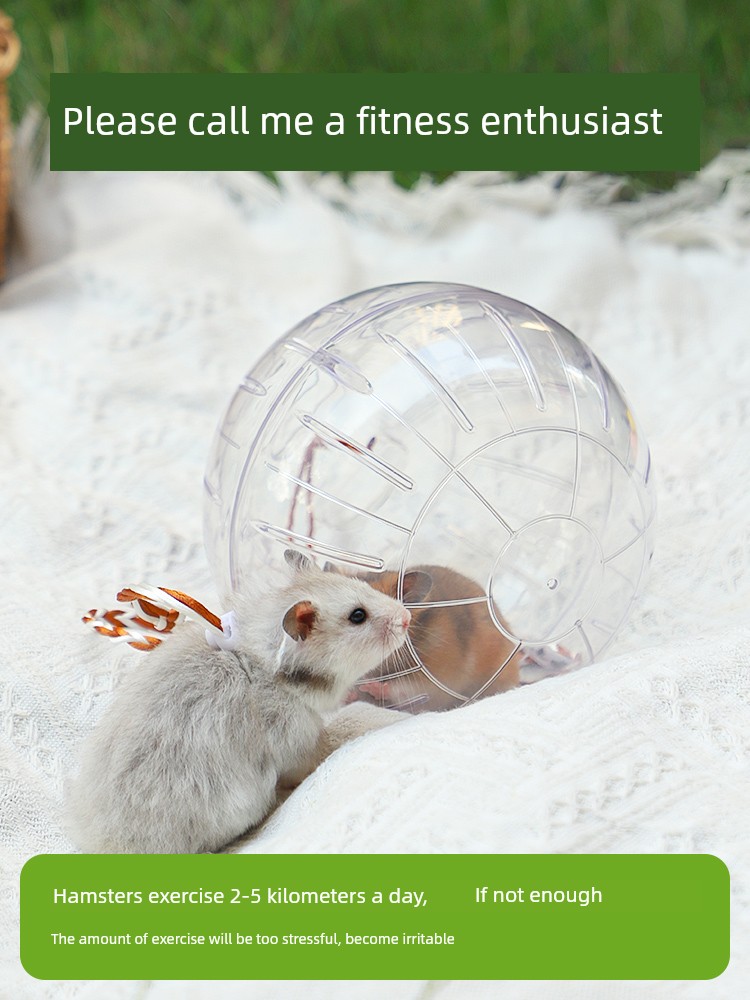 倉鼠水晶跑球18cm透明外帶運動球遛鼠神器金絲熊松鼠蜜袋鼯適用 (3折)